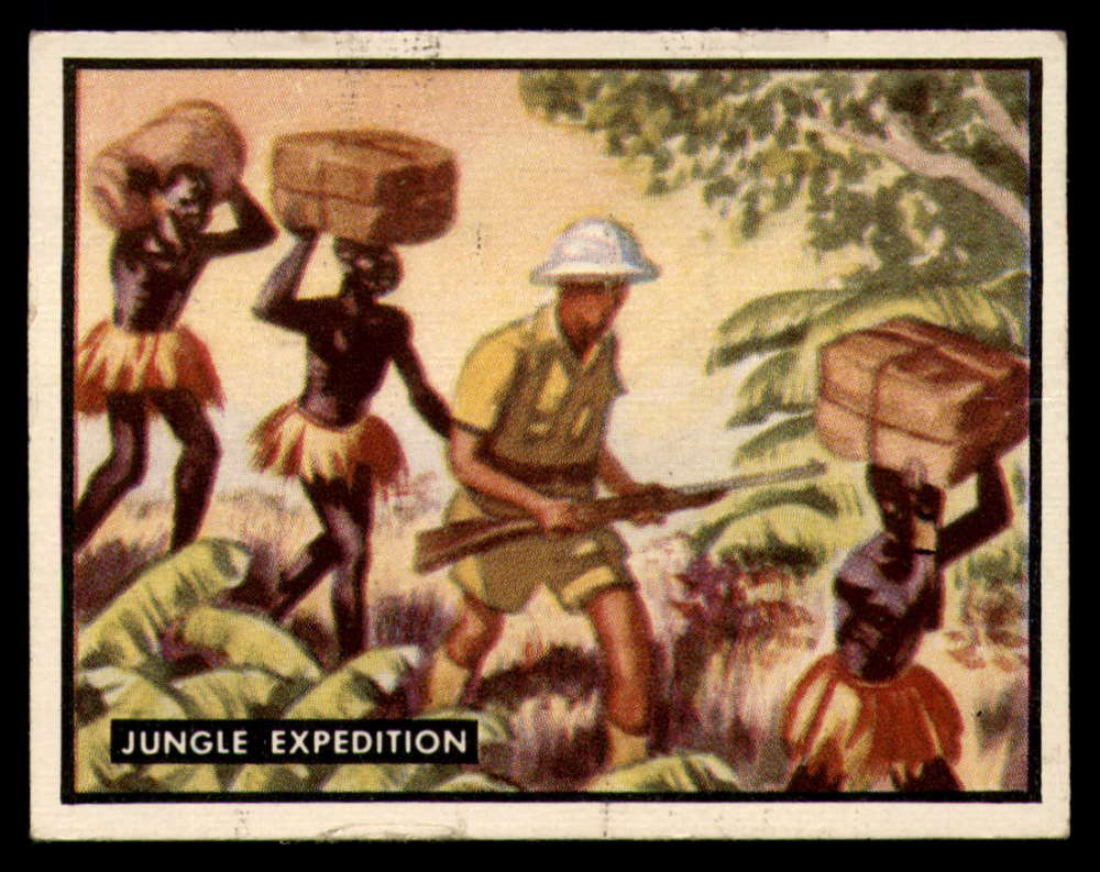10 Jungle Expedition